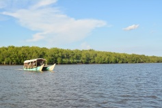 perahu, laut dan mangrove